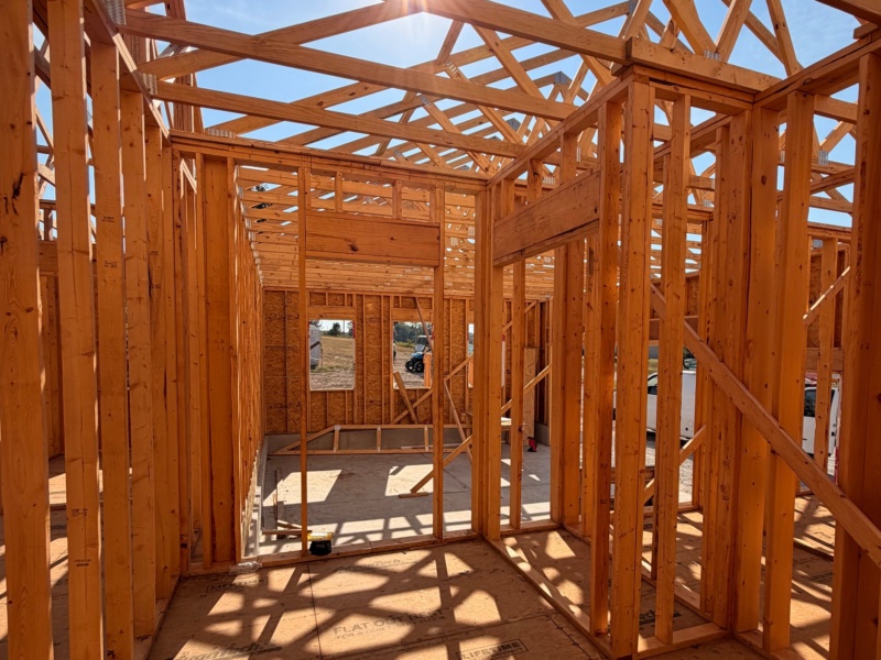11084 Buttercup Dr - The Weston w/ Walk Out Basement home image